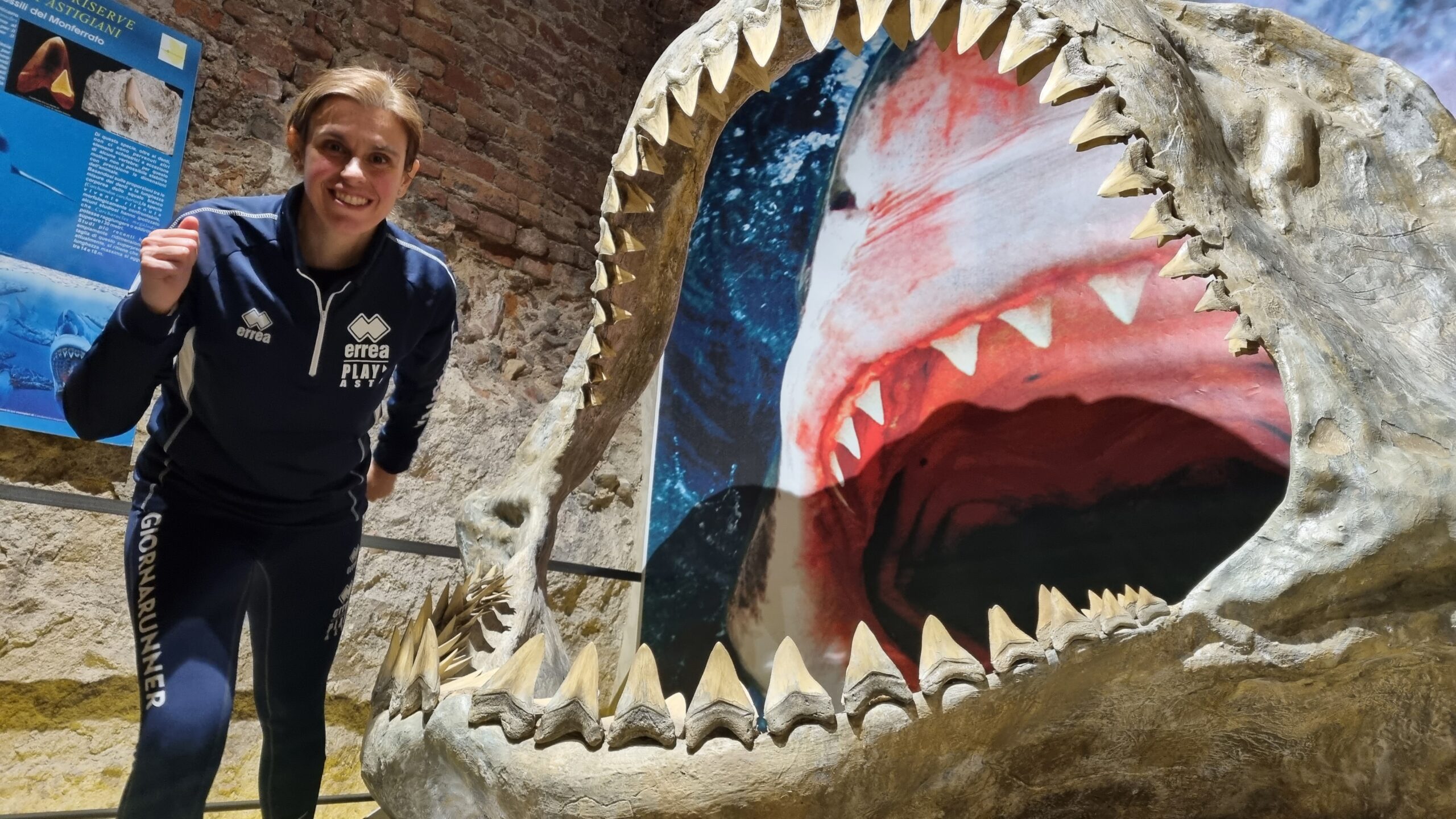 Nelle fauci dello squalo al Museo Paleontologico di Asti