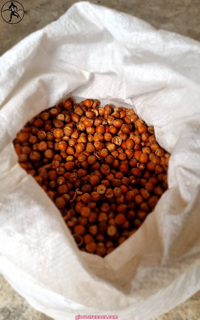 robin madovito nocciole