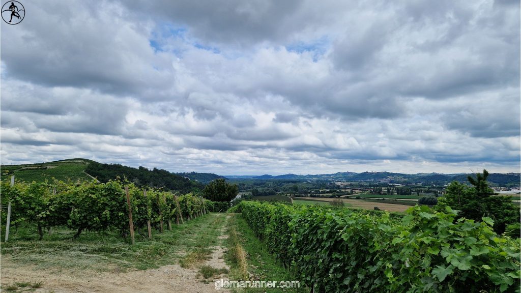 campagne vigneti san martino alfieri govone tanaro