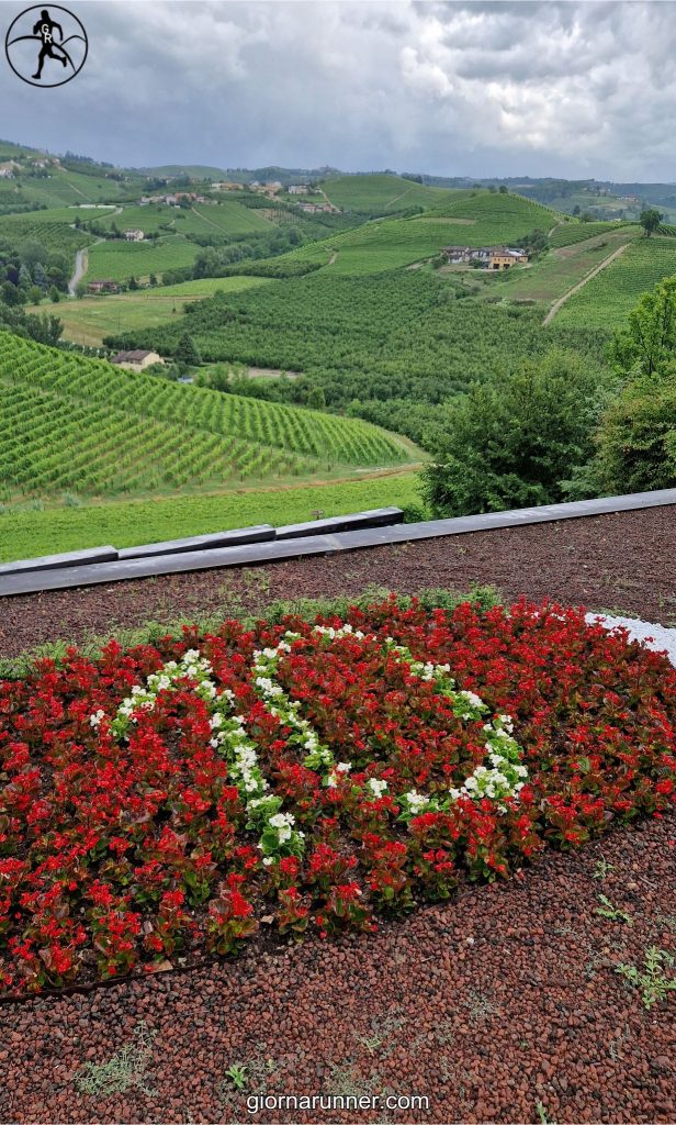 paesaggio grinzane cavour 10 anni