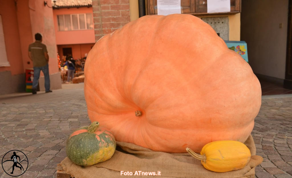 fiera zucca piea