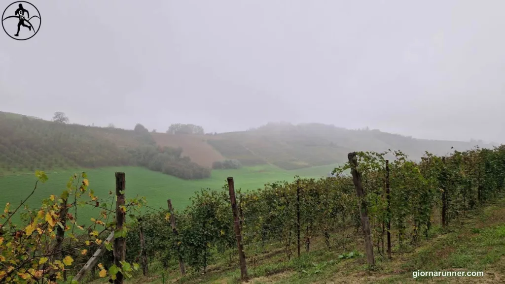 San Damiano d'Asti vigne autunno san luigi