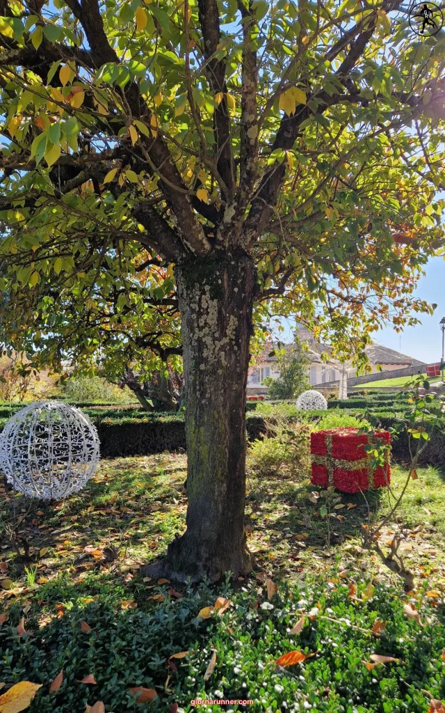 magio paese di natale anteprima govone