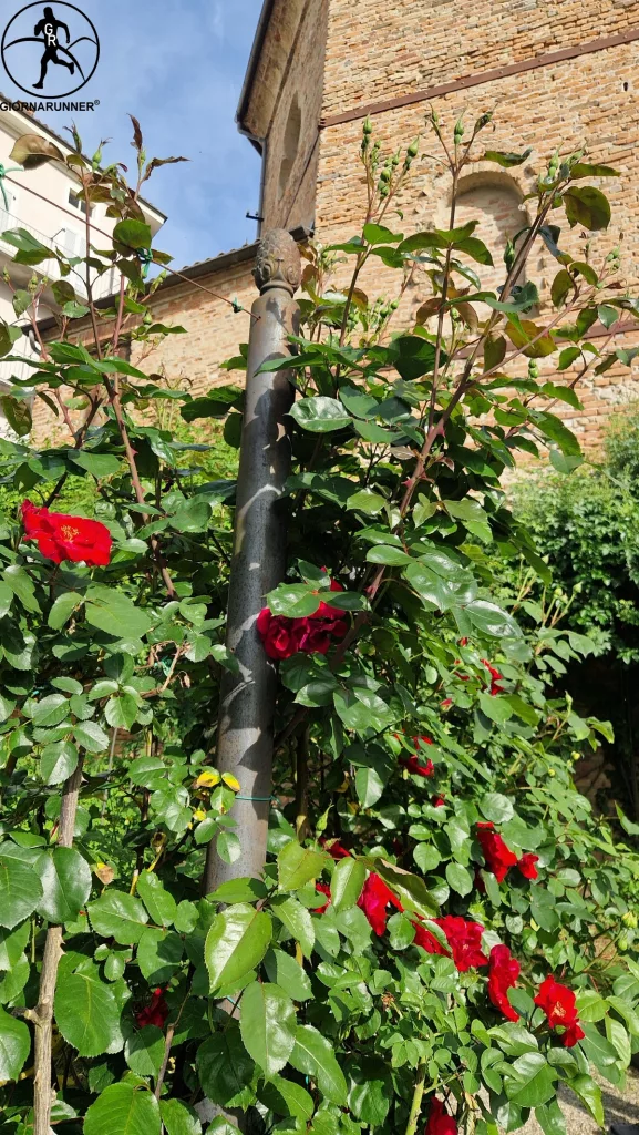 regalmente-rosa-castello-govone-2025-rose