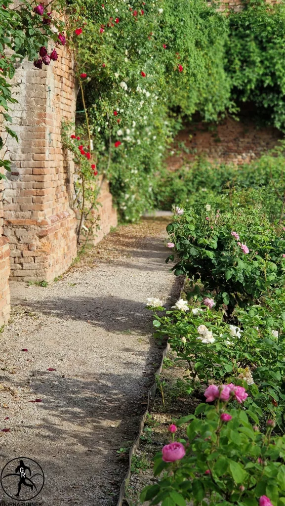 regalmente-rosa-castello-govone-2025-roseto