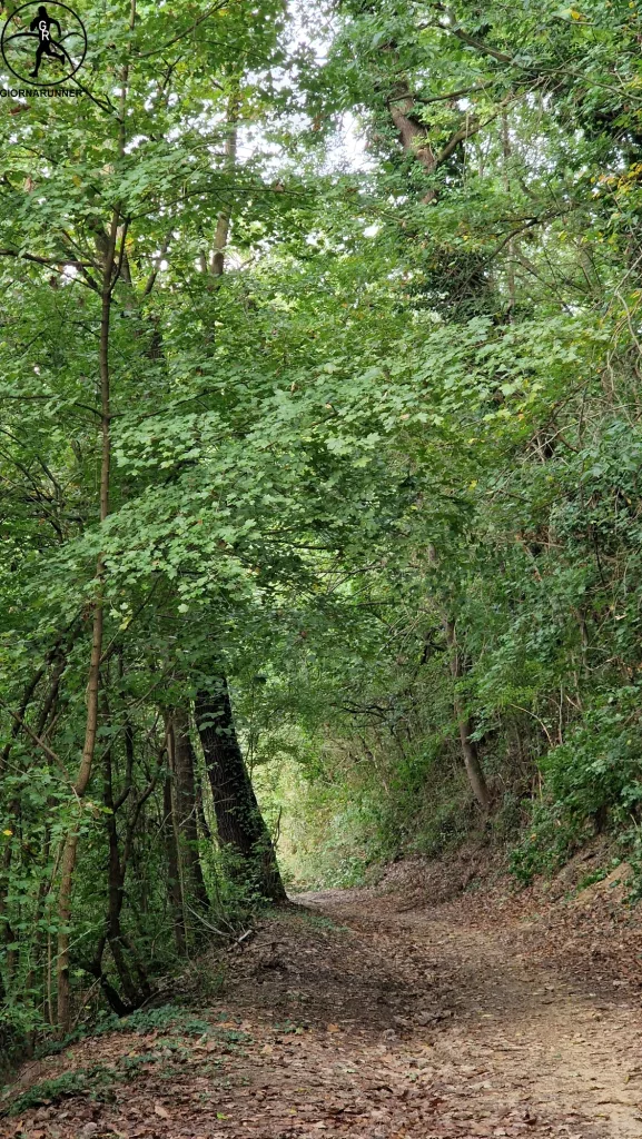 nel bosco monale