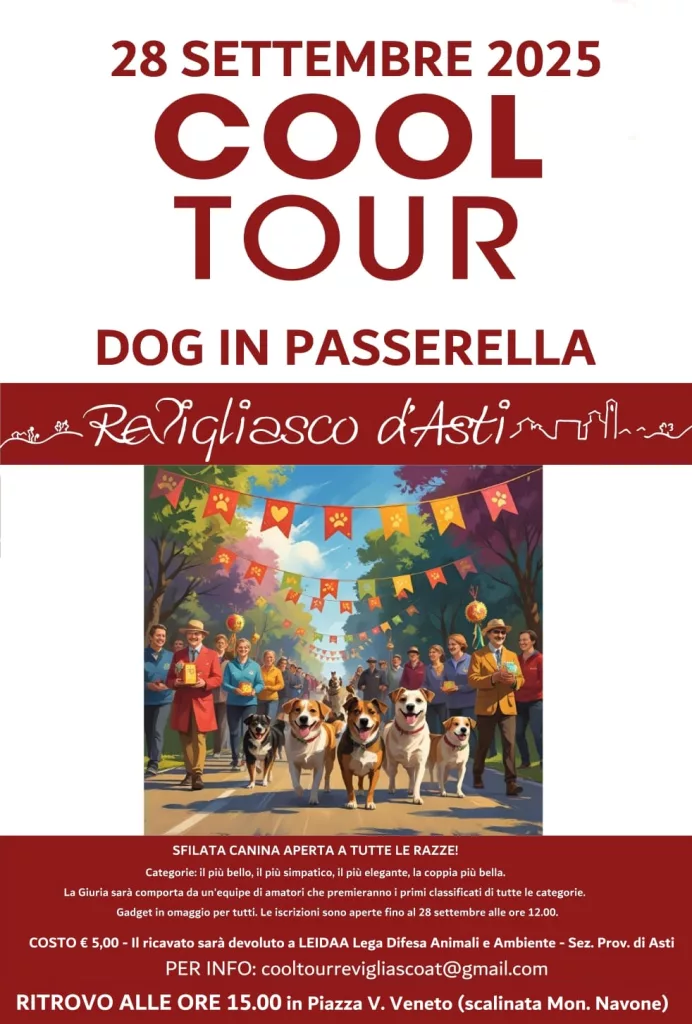 Cool tour 2025 dog