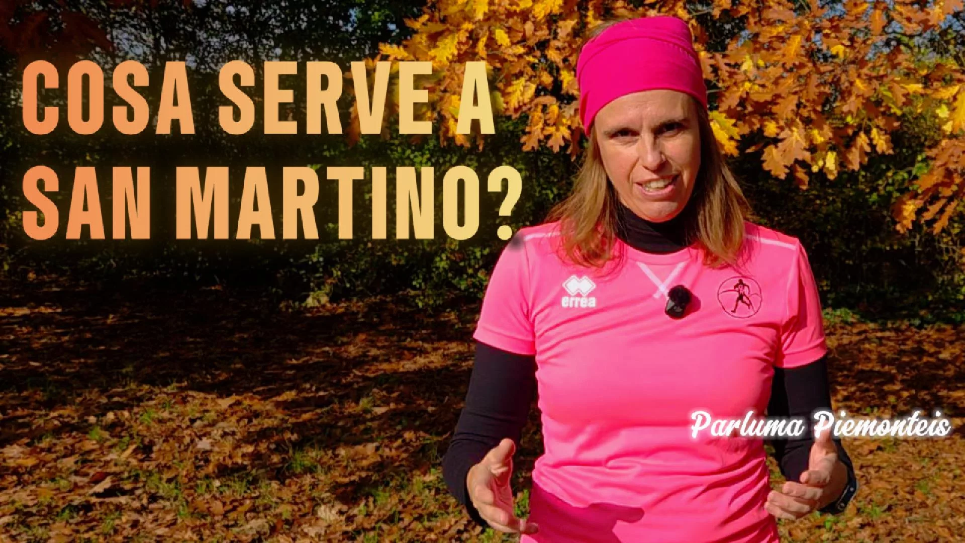 proverbi su san martino