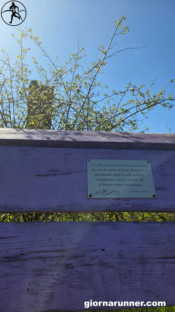 panchina gigante merana targa