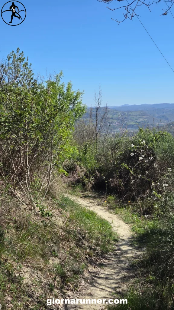 sentiero panorama da Panchina Gigante di Bistagno