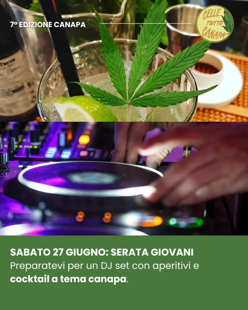 celle tutto canapa