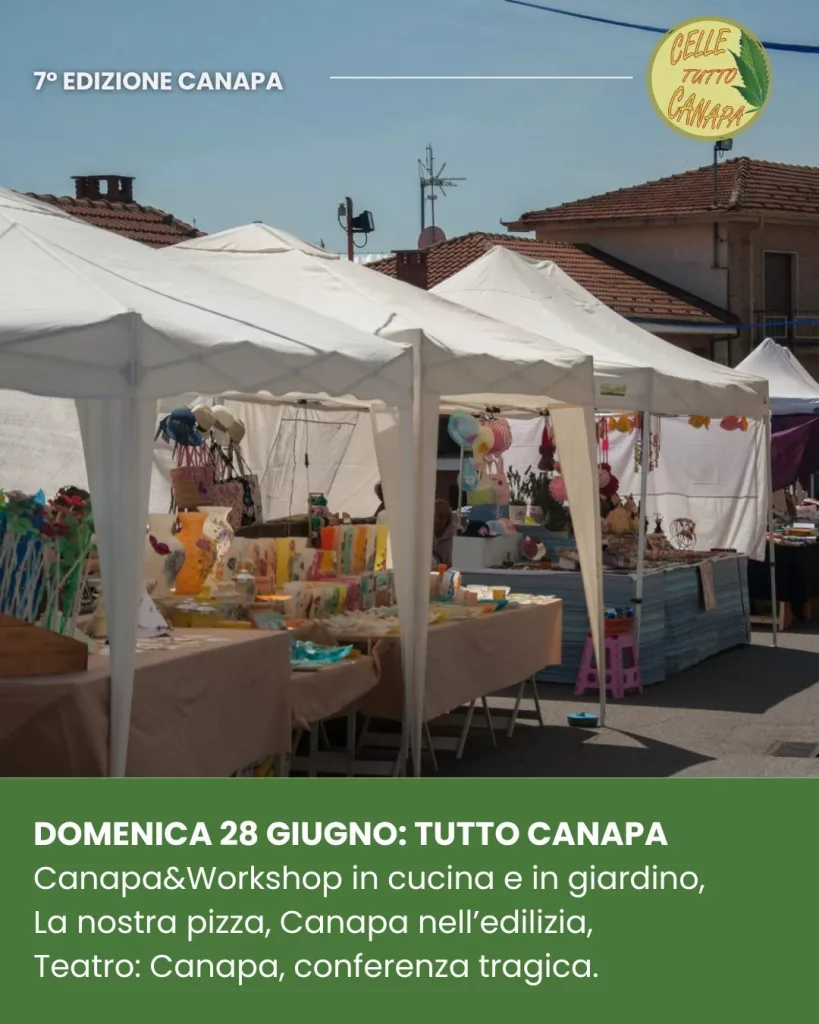 celle tutto canapa